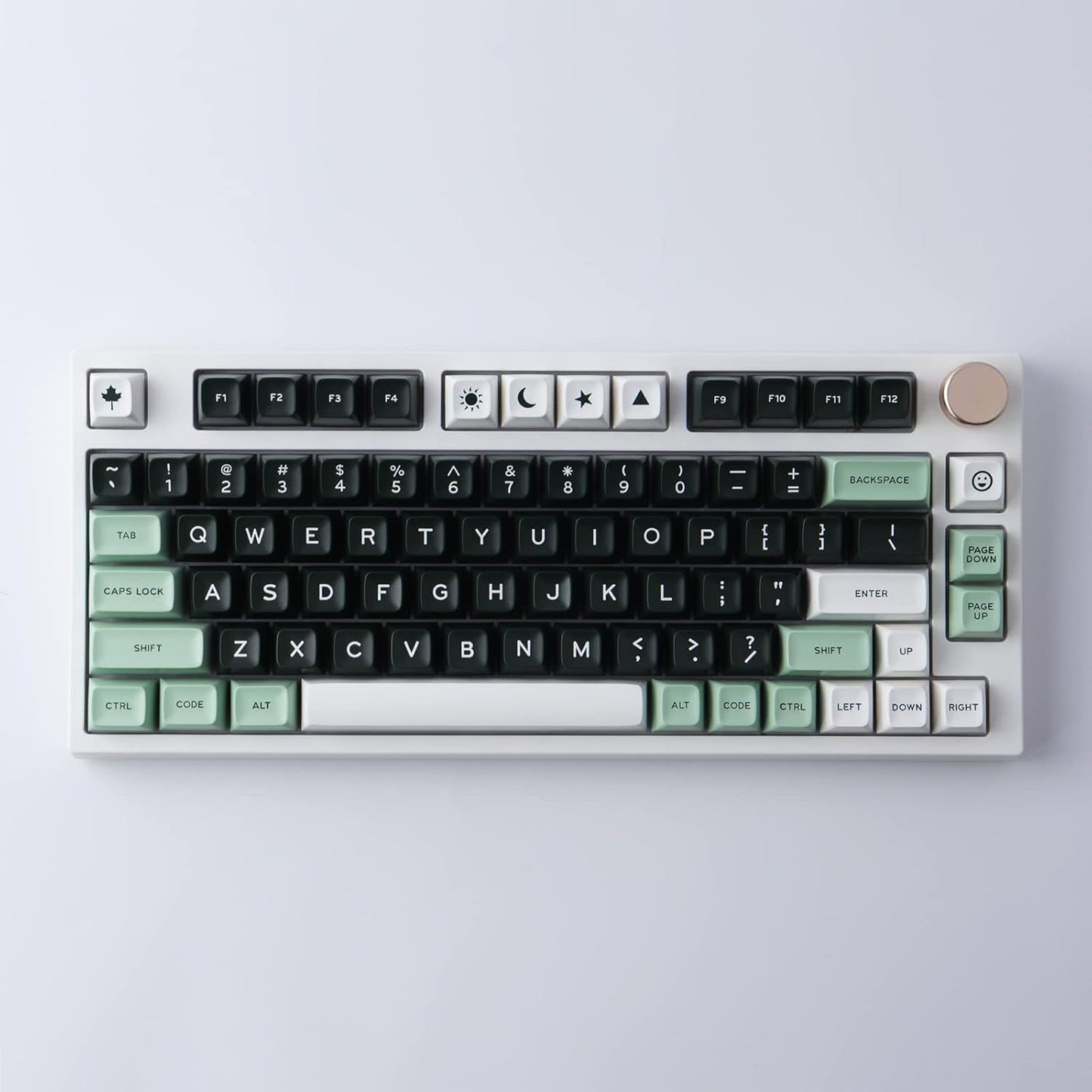 Hyekit SA Keycaps, 173 Keys Doubleshot ABS Keycaps Full Key Set for Cherry Gateron MX Switches Mechanical Keyboards, US/UK Layouts with 6.25u, 7u Spacebar (Salon)